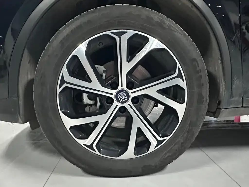 BYD Tang New Energy 2025 из CN, фото 3