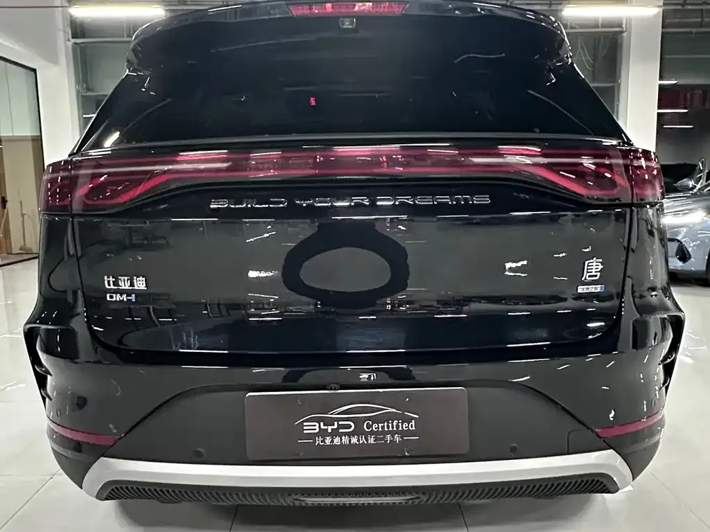 BYD Tang New Energy 2025 из CN, фото 8