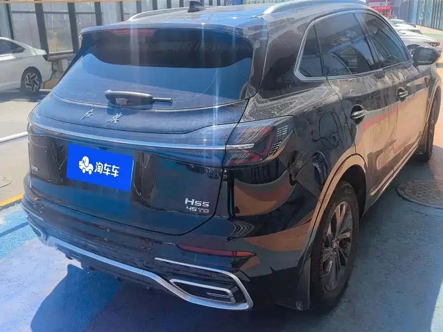 Hongqi HS5 2024 из CN, фото 6