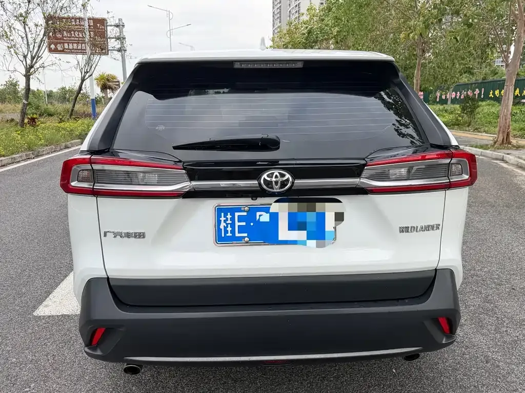 Toyota Wildlander 2023 из CN, фото 3