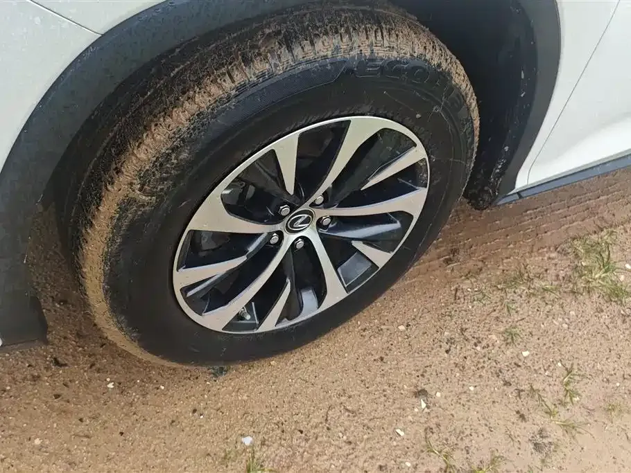 Lexus RX 2022 из CN, фото 10