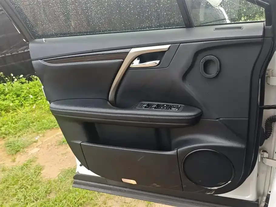 Lexus RX 2022 из CN, фото 9