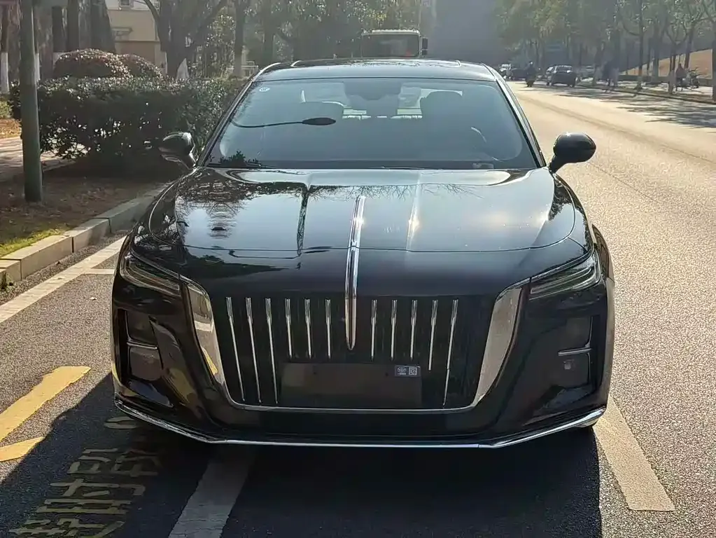 Hongqi H5 2023 из CN, фото 2