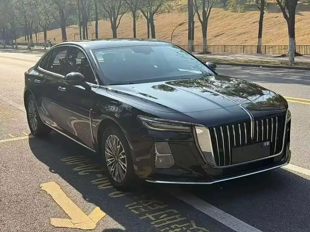 Hongqi H5 2023 из CN, фото 5