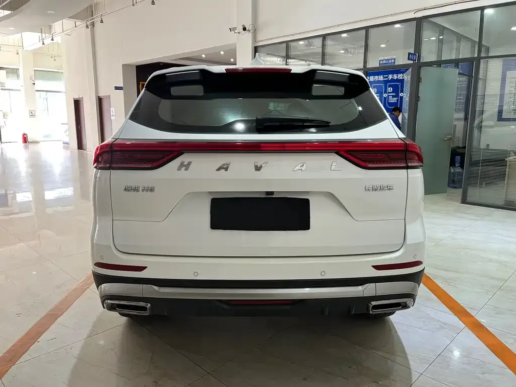 Haval H6 2023 из CN, фото 10