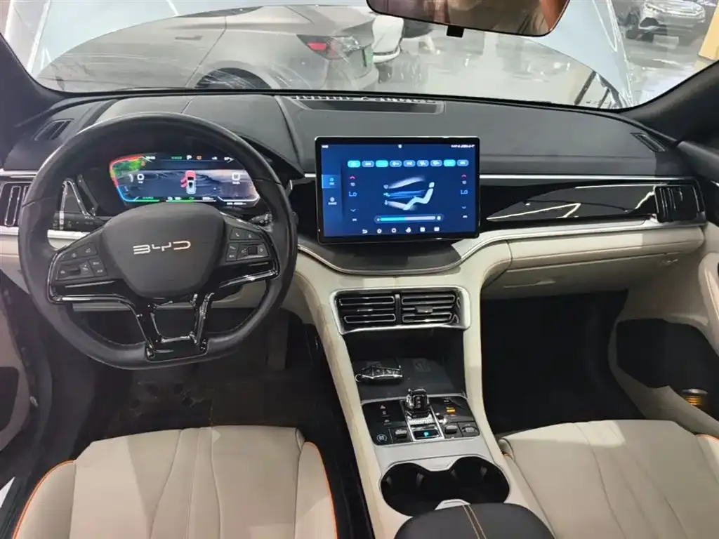 BYD PLUS New Energy 2024 из CN, фото 3