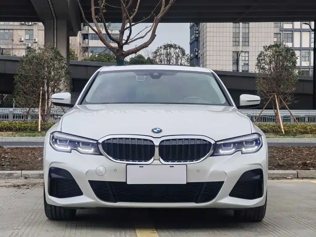 BMW 3 Series 2021 из CN, фото 4