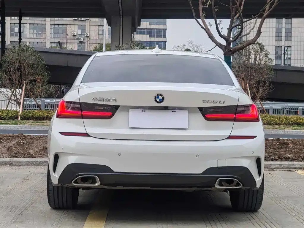 BMW 3 Series 2021 из CN, фото 10