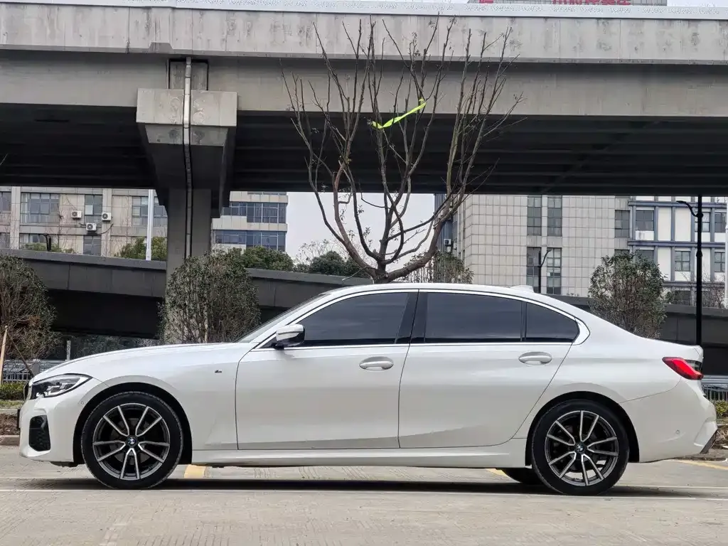 BMW 3 Series 2021 из CN, фото 6