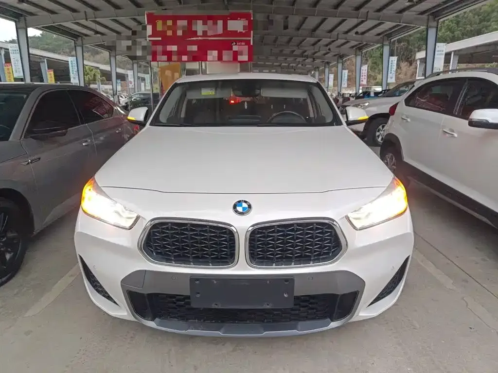 BMW X2 2023 из CN, фото 6