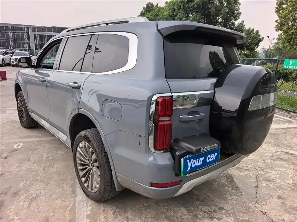Tank 500 New Energy 2023 из CN, фото 10