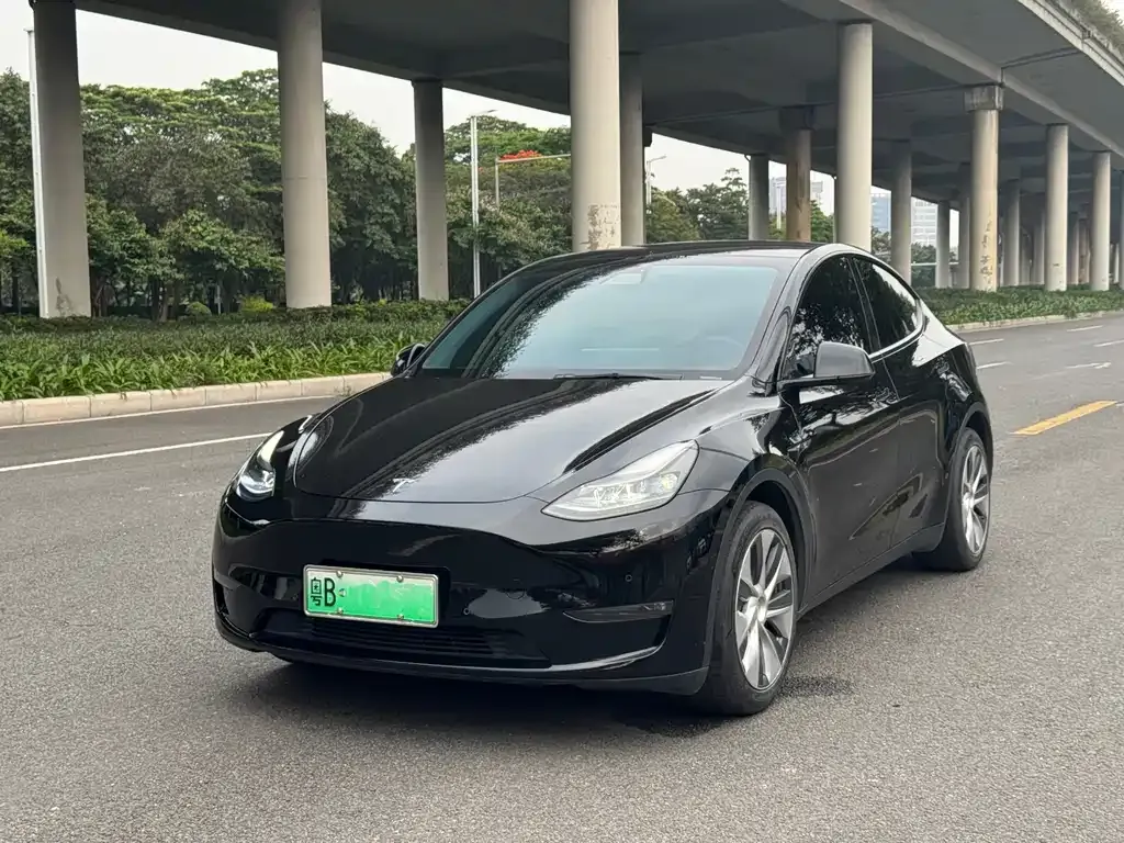 Tesla Model Y 2021 из CN, фото 1