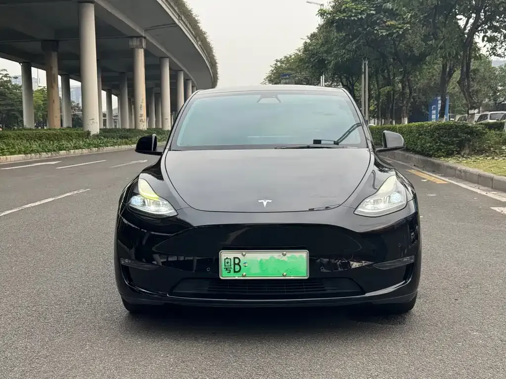Tesla Model Y 2021 из CN, фото 4