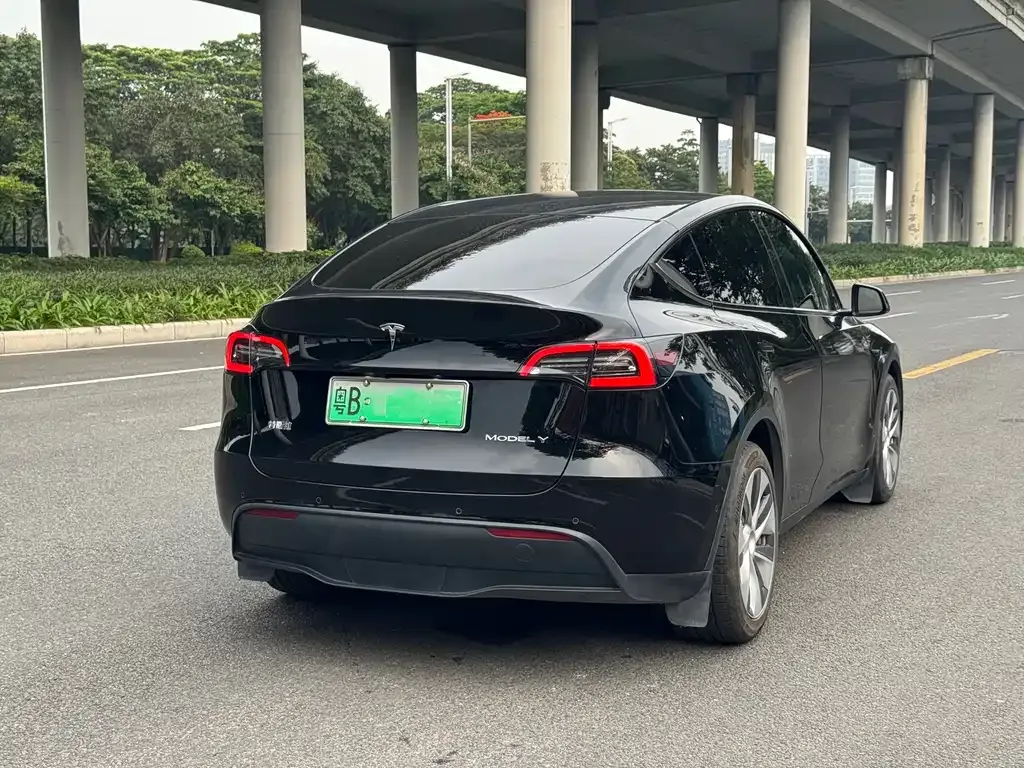 Tesla Model Y 2021 из CN, фото 7
