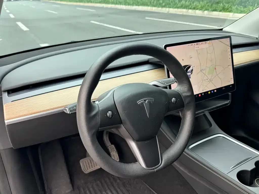 Tesla Model Y 2021 из CN, фото 6