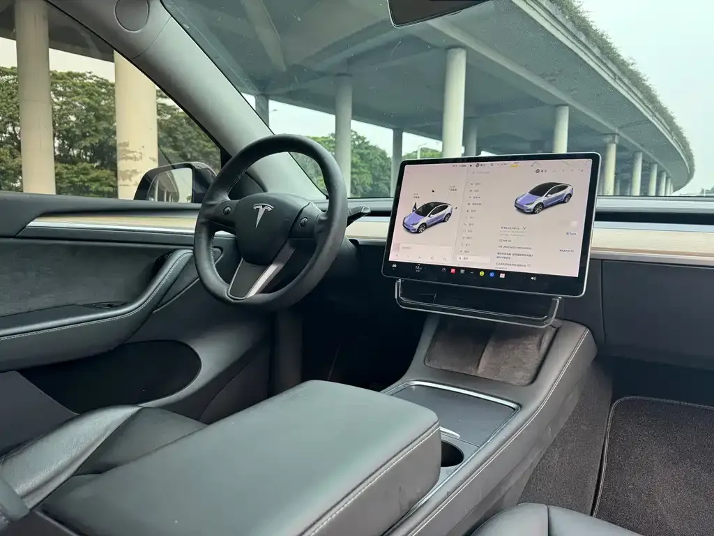 Tesla Model Y 2021 из CN, фото 9