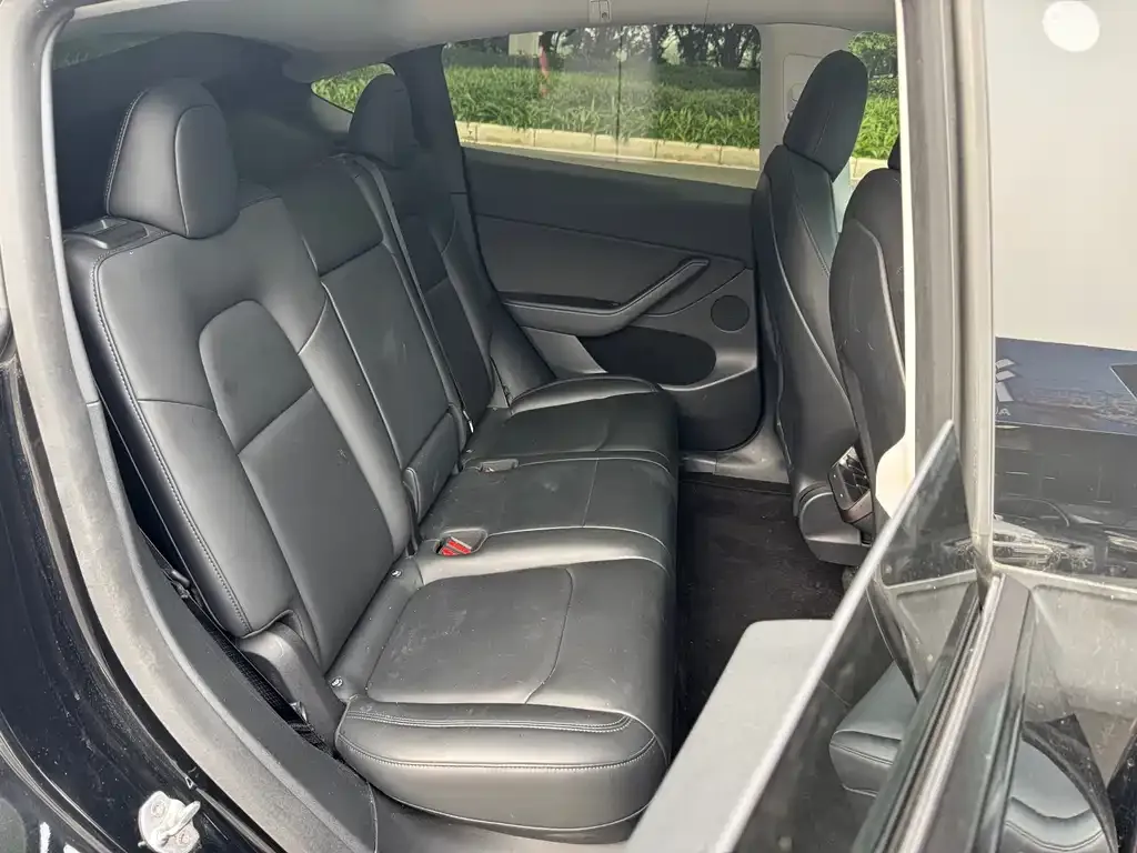 Tesla Model Y 2021 из CN, фото 5
