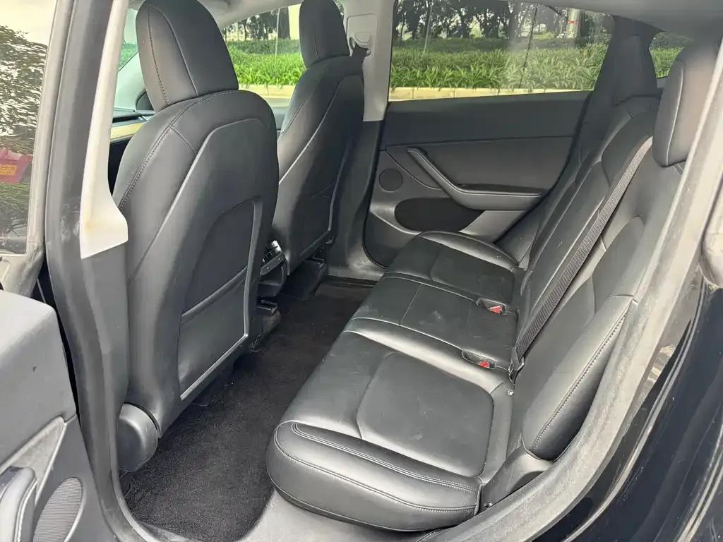 Tesla Model Y 2021 из CN, фото 3