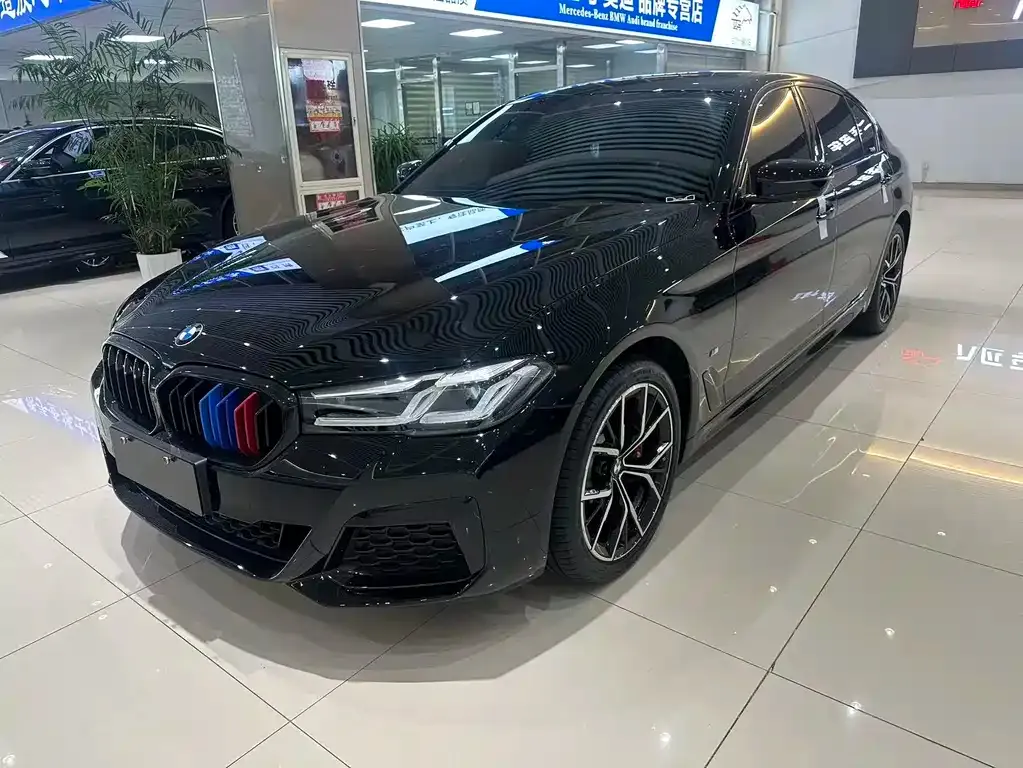 BMW 5 Series 2021 из CN, фото 1