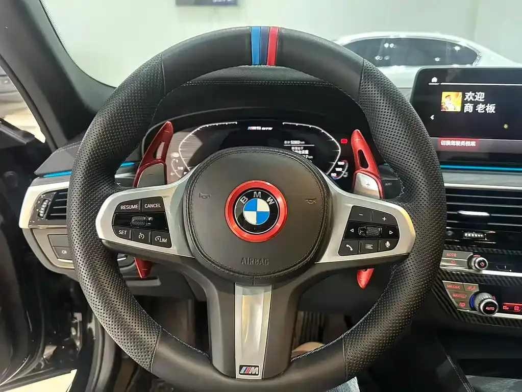 BMW 5 Series 2021 из CN, фото 6