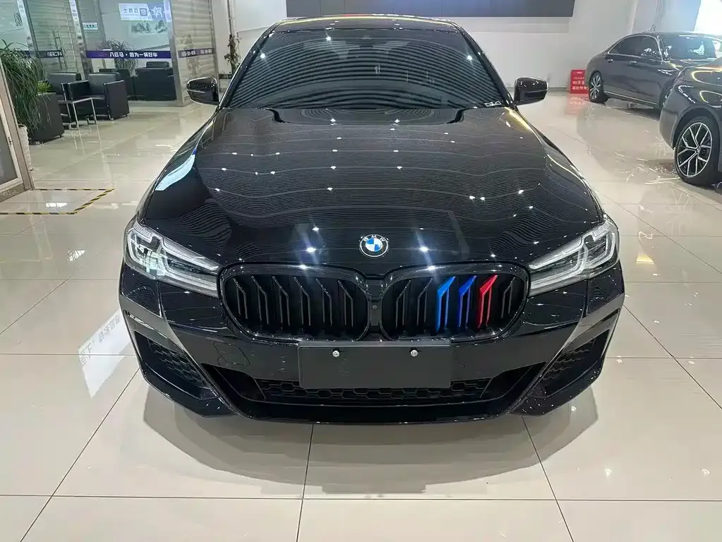 BMW 5 Series 2021 из CN, фото 2