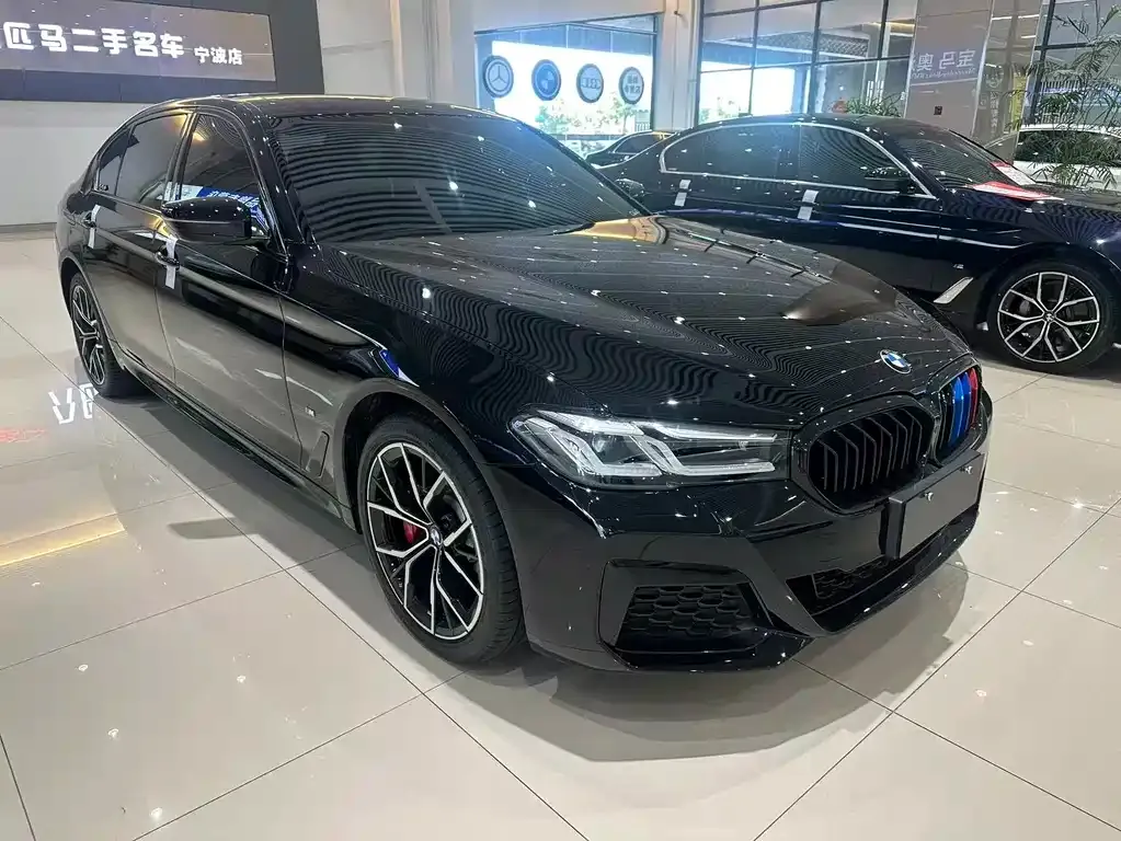 BMW 5 Series 2021 из CN, фото 8