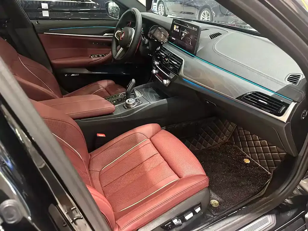 BMW 5 Series 2021 из CN, фото 9