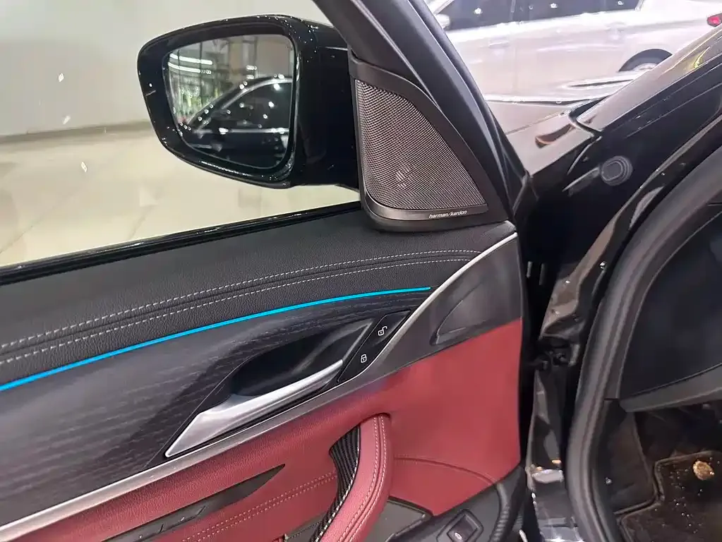 BMW 5 Series 2021 из CN, фото 10