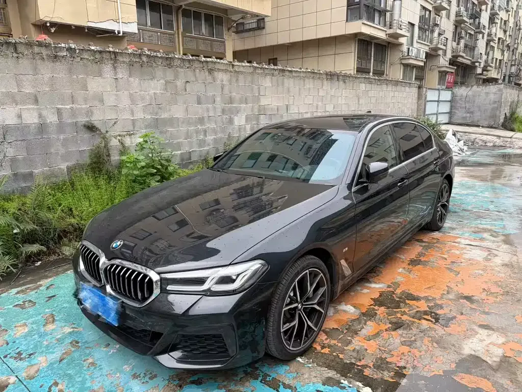 BMW 5 Series 2022 из CN, фото 1