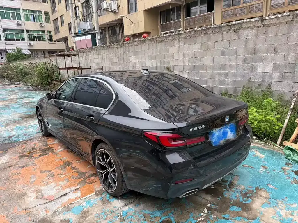 BMW 5 Series 2022 из CN, фото 5