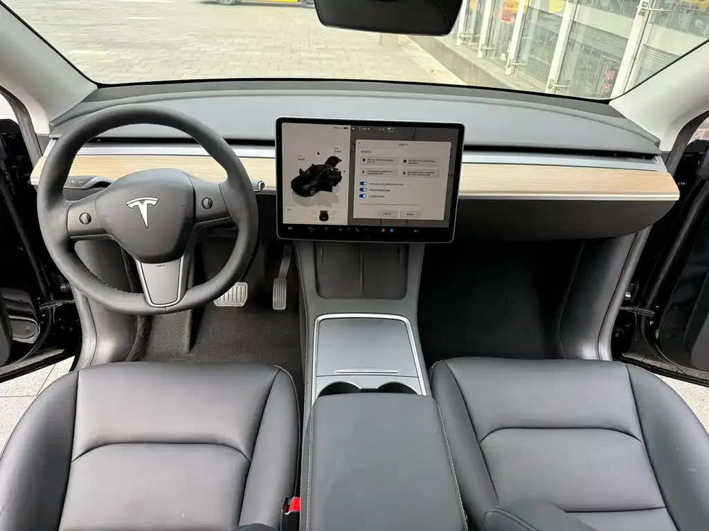 Tesla Model Y — фото 8