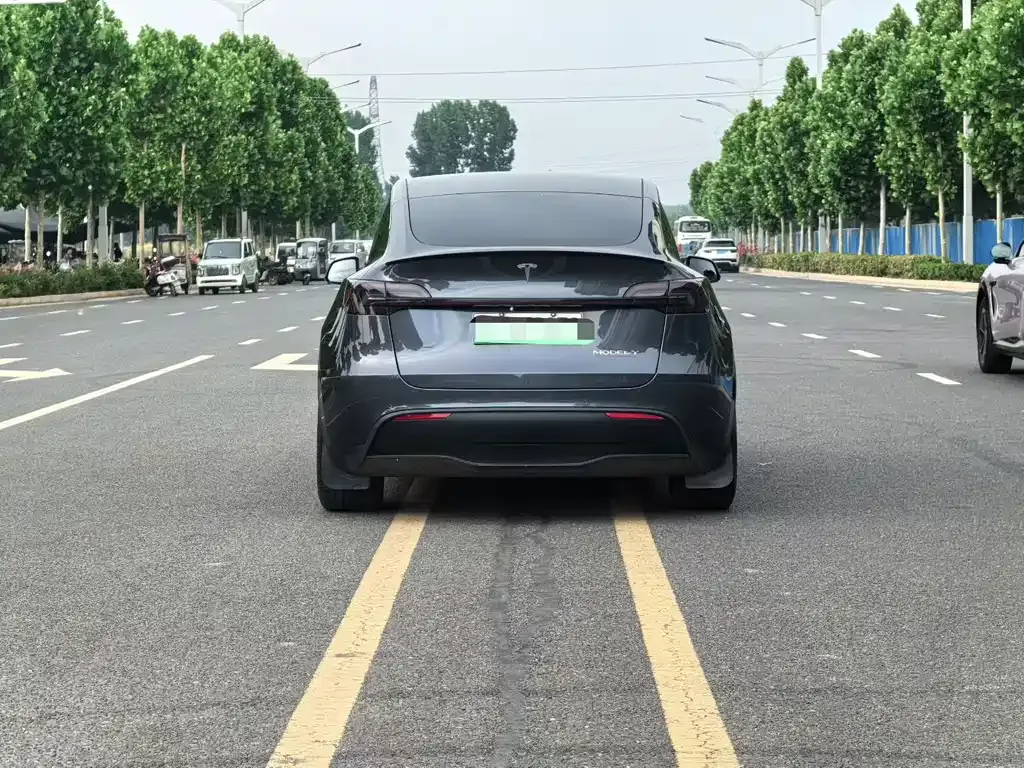 Tesla Model Y — фото 3