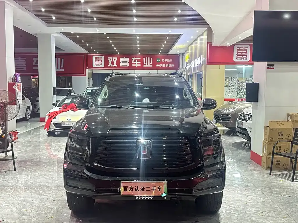 Tank 500 New Energy 2025 из CN, фото 9