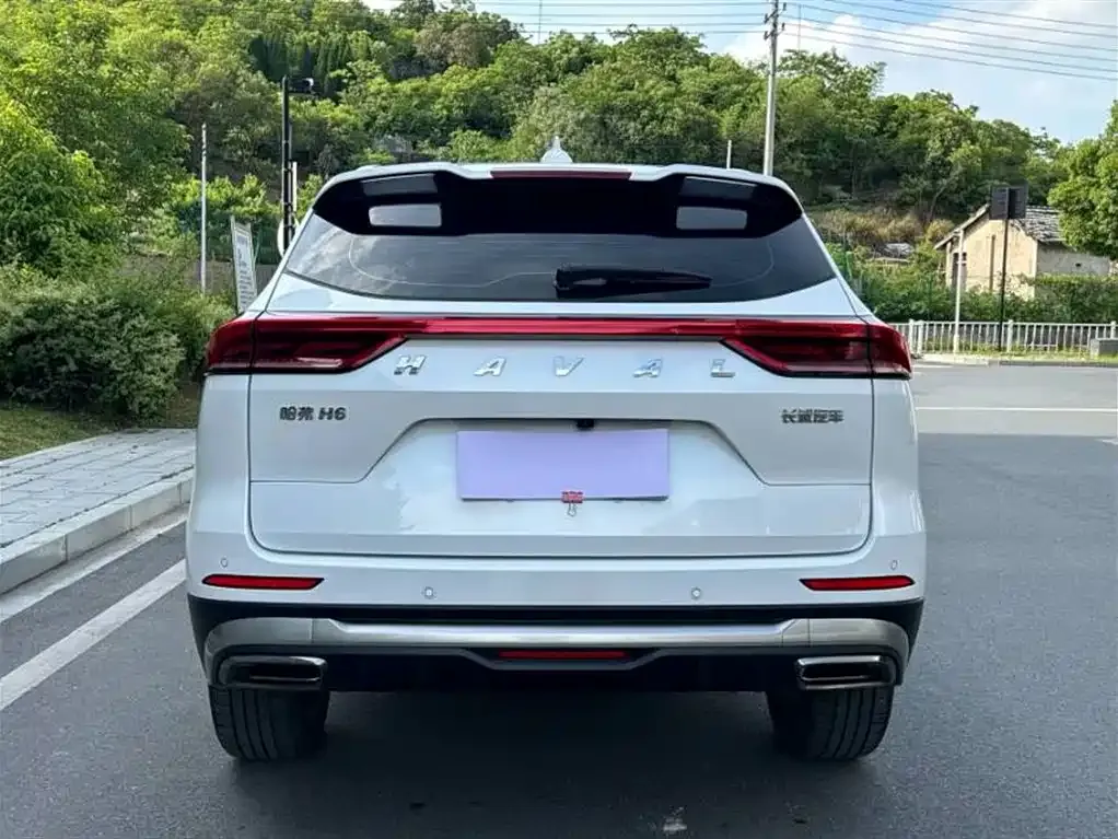 Haval H6 2023 из CN, фото 6