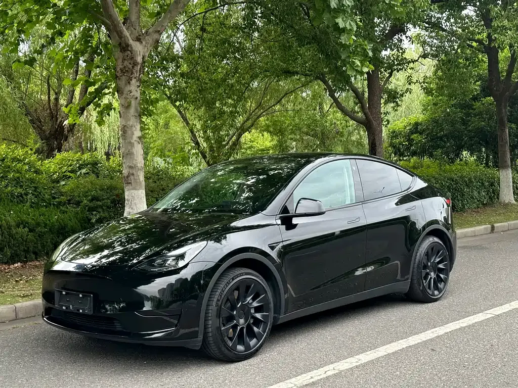 Tesla Model Y 2023 из CN, фото 1