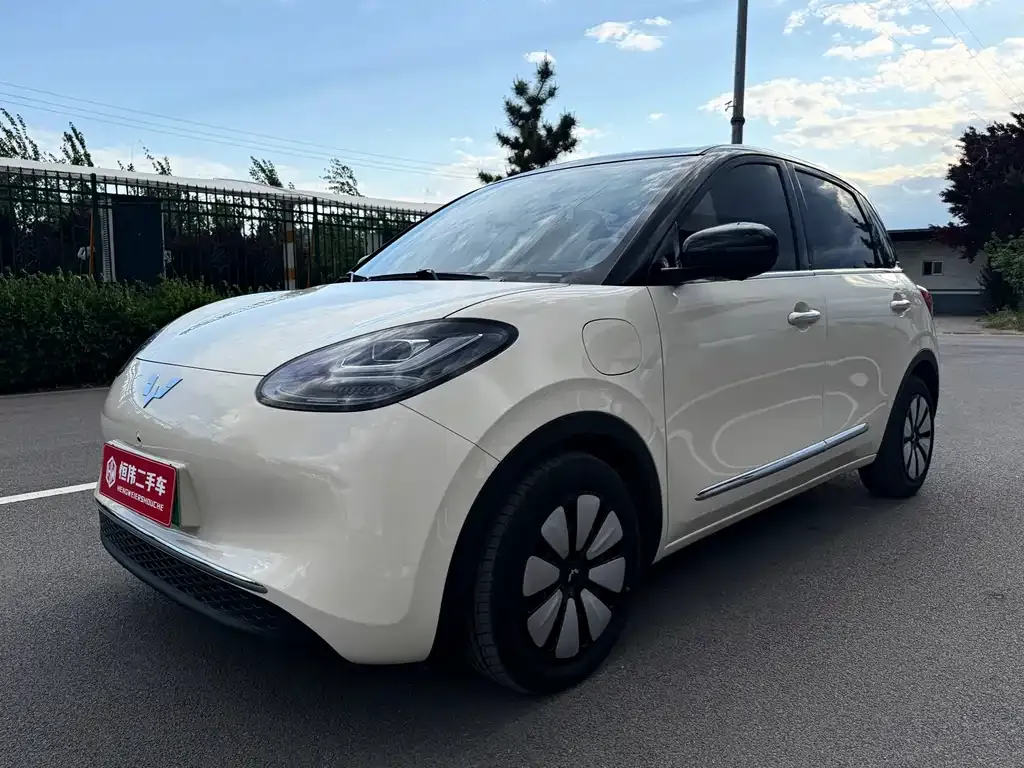 Wuling Bingo
