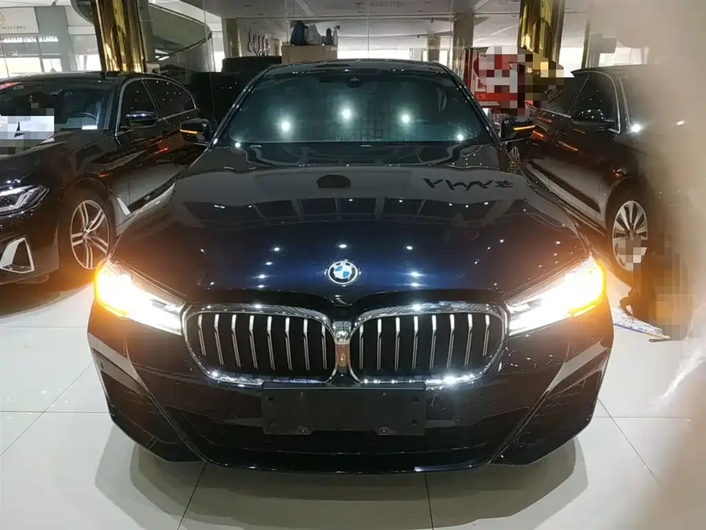 BMW 5 Series 2023 из CN, фото 6
