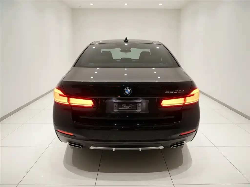 BMW 5 Series 2023 из CN, фото 2