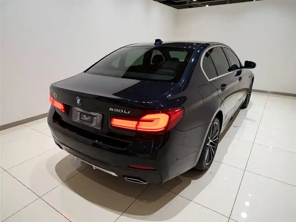 BMW 5 Series 2023 из CN, фото 7