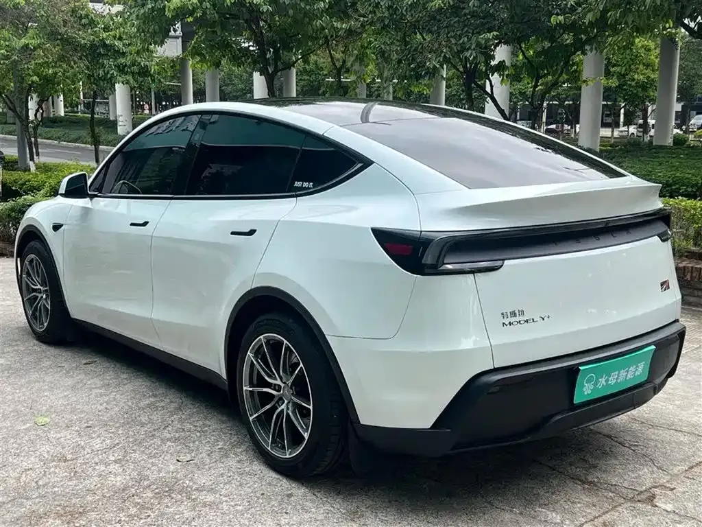 Tesla Model Y L 2025 из CN, фото 10