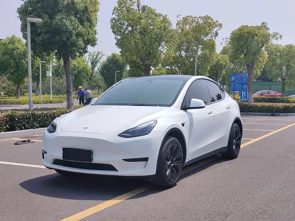 Tesla Model Y — фото 1
