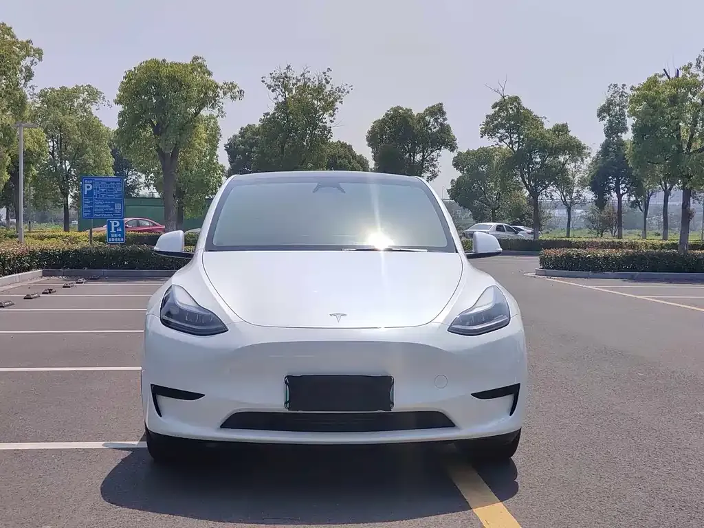 Tesla Model Y — фото 10