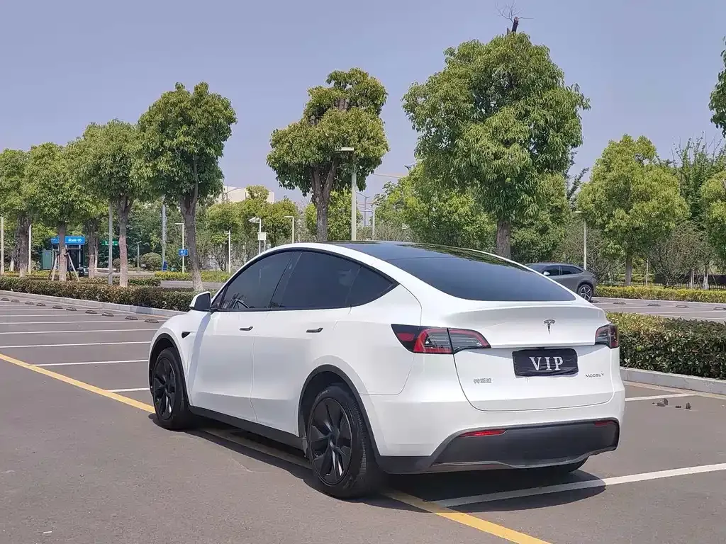 Tesla Model Y — фото 6
