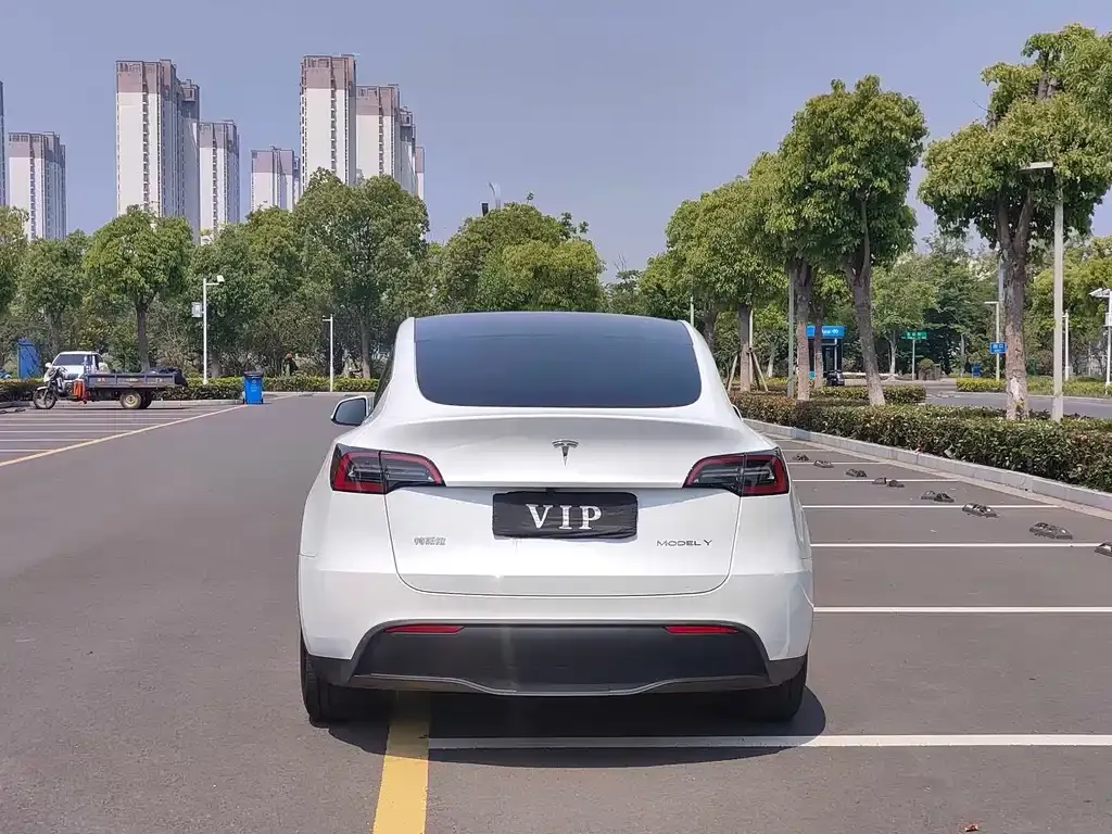 Tesla Model Y — фото 4
