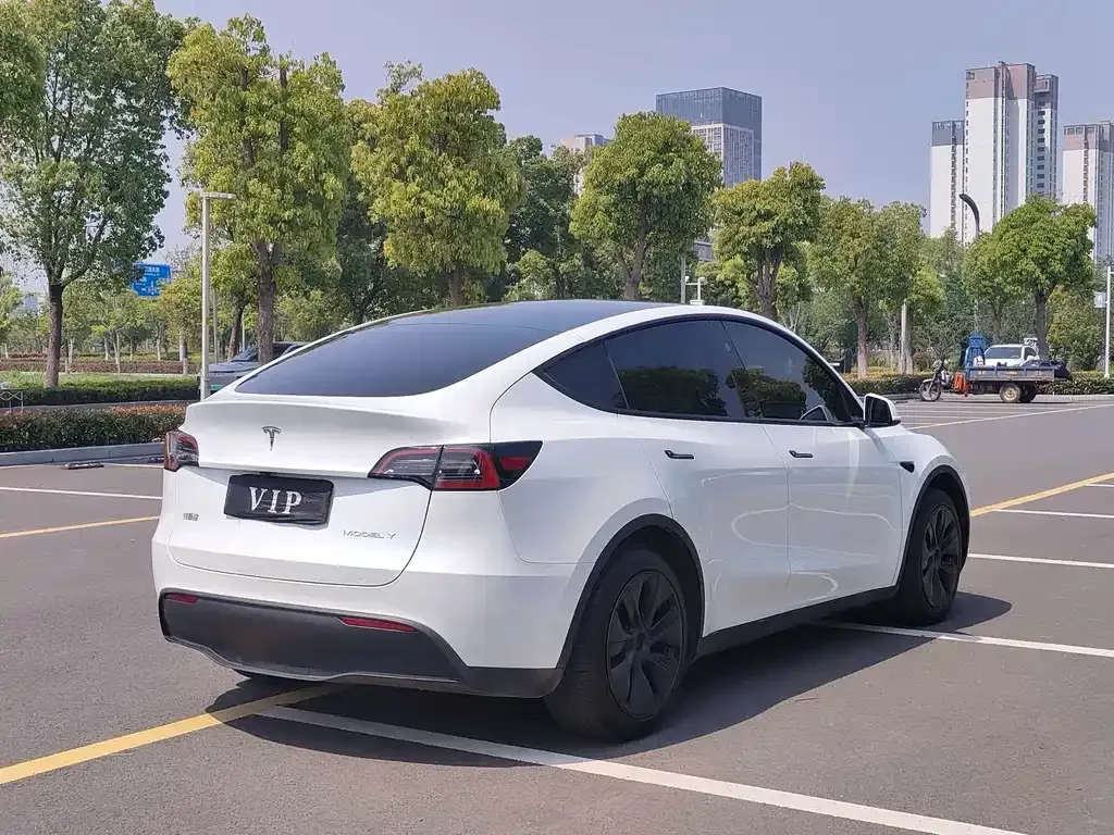 Tesla Model Y — фото 8