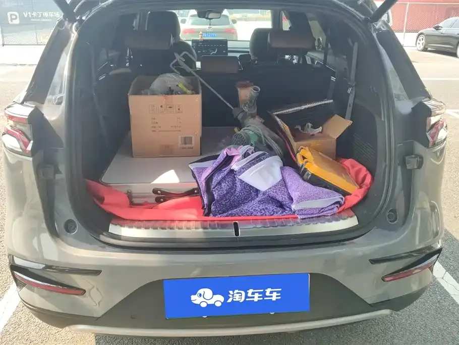 BYD Tang New Energy 2022 из CN, фото 9