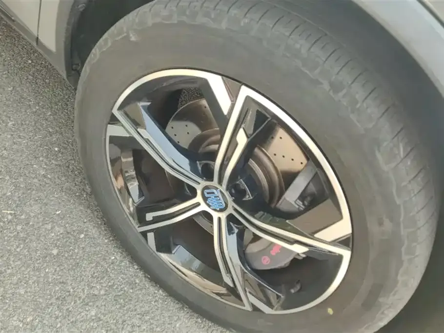 BYD Tang New Energy 2022 из CN, фото 7