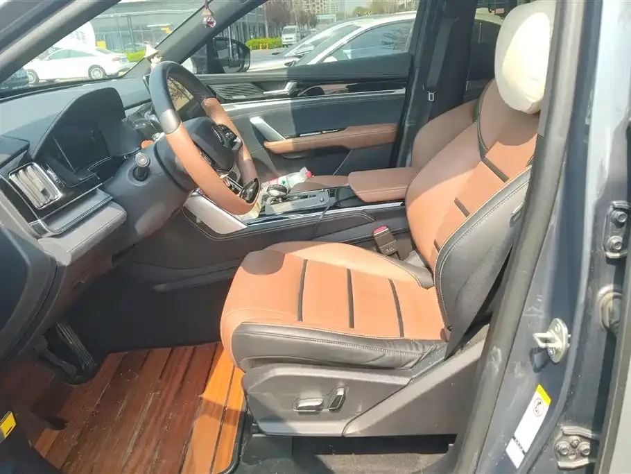 BYD Tang New Energy 2022 из CN, фото 6