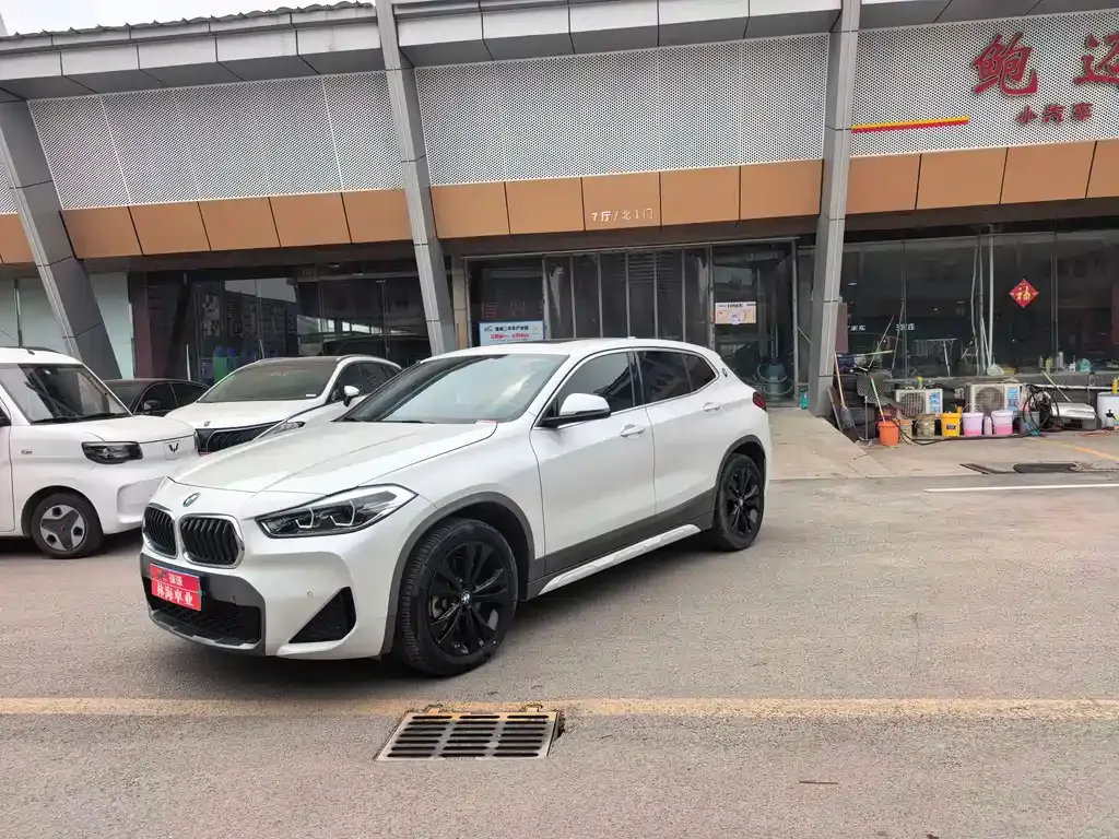 BMW X2 2022 из CN, фото 10
