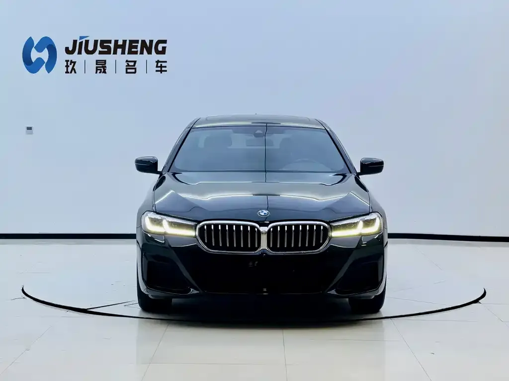 BMW 5 Series 2023 из CN, фото 4